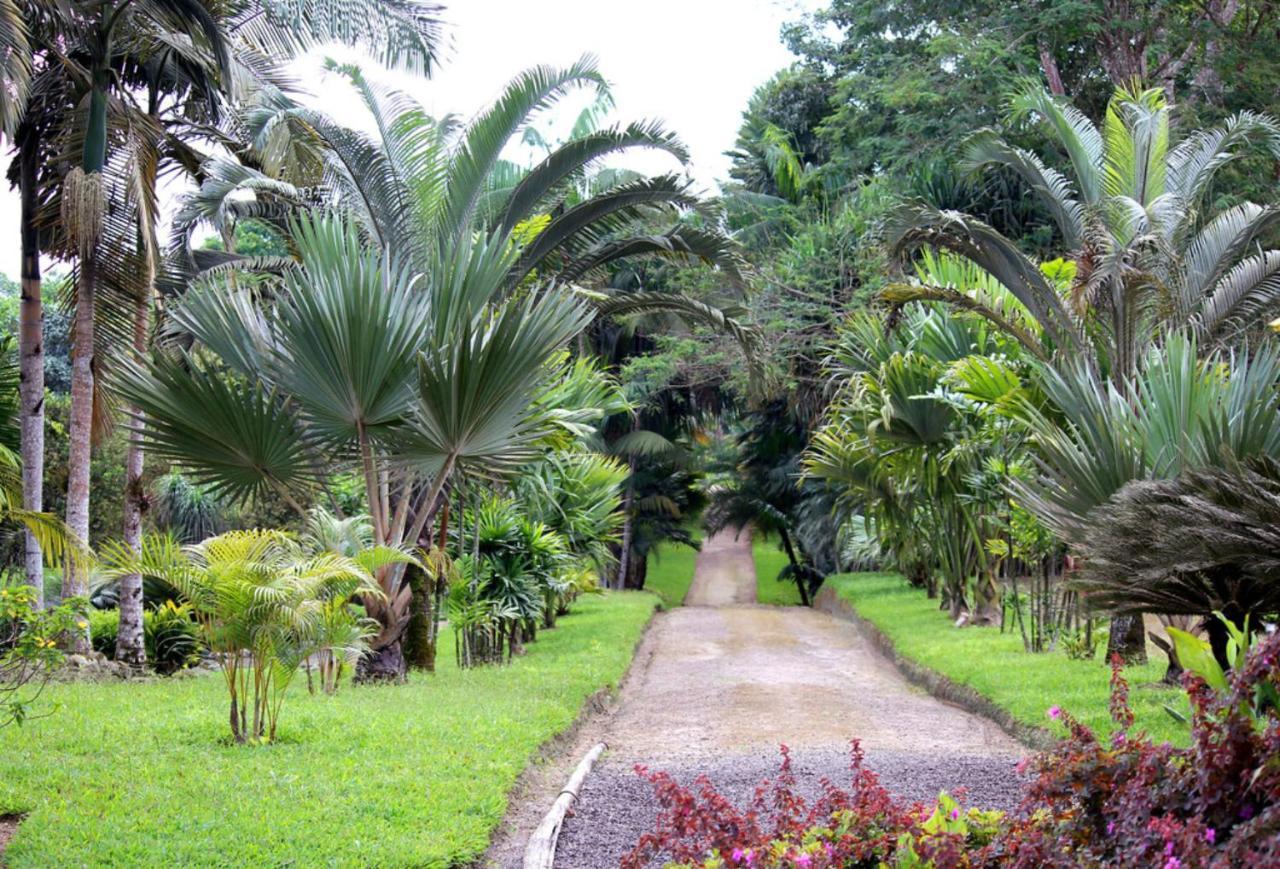 Bnb Tropical Island Aparthotel - Corales Del Sur - Santo Domingo Este Buitenkant foto